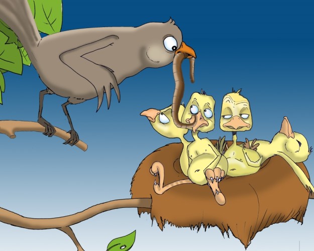 Vögel im Nest  gelangweilt