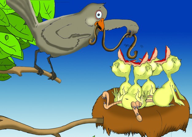 Vögel im Nest hungrig