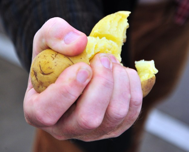 kartoffel-zerquetschen